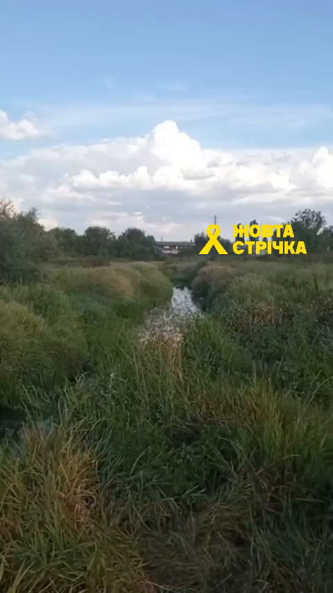 Окупанти в Луганську зливають відходи з м'ясокомбінату прямо в річку: мешканці скаржаться на жахливий сморід. Відео 