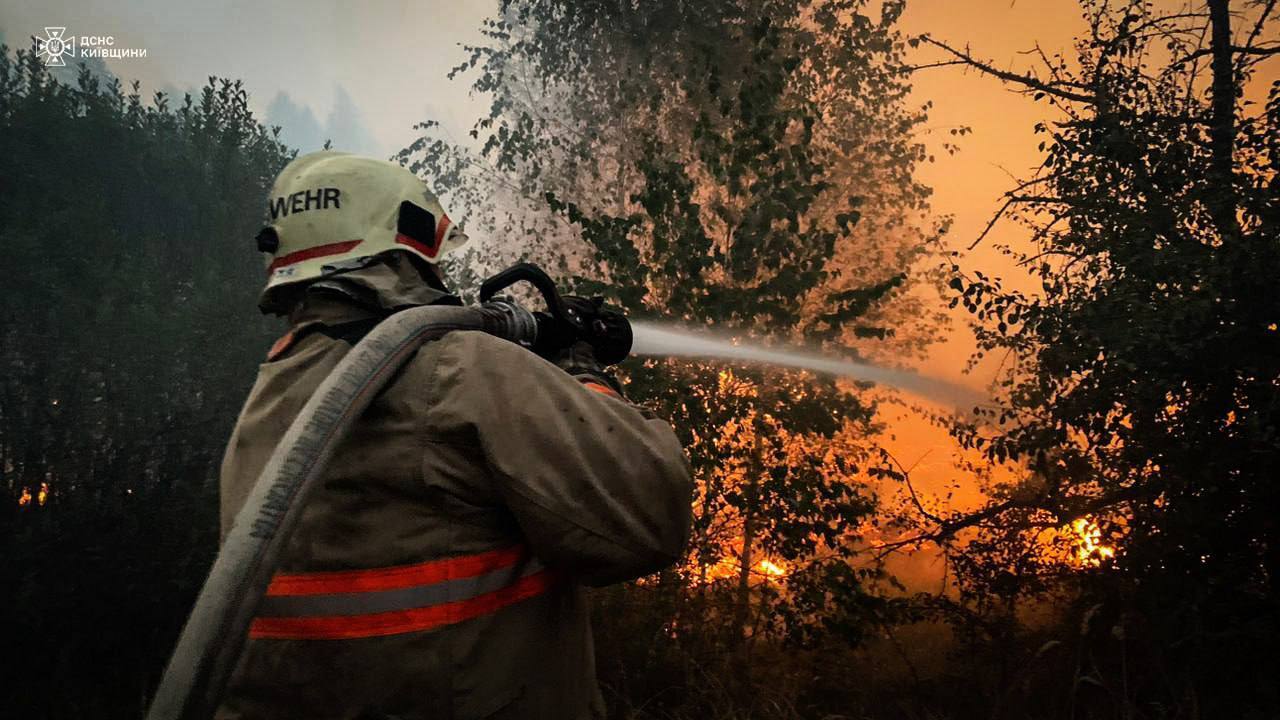 В Киевской области локализовали пожар на открытой территории площадью 421 га: что с радиационным фоном. Фото и видео