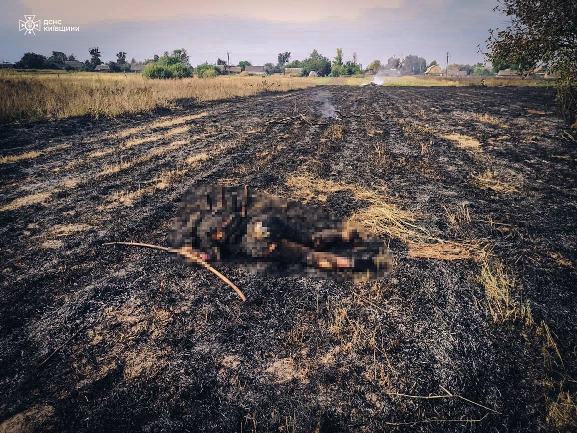 На Київщині під час випалювання сухостою загинула 82-річна жінка. Подробиці трагедії