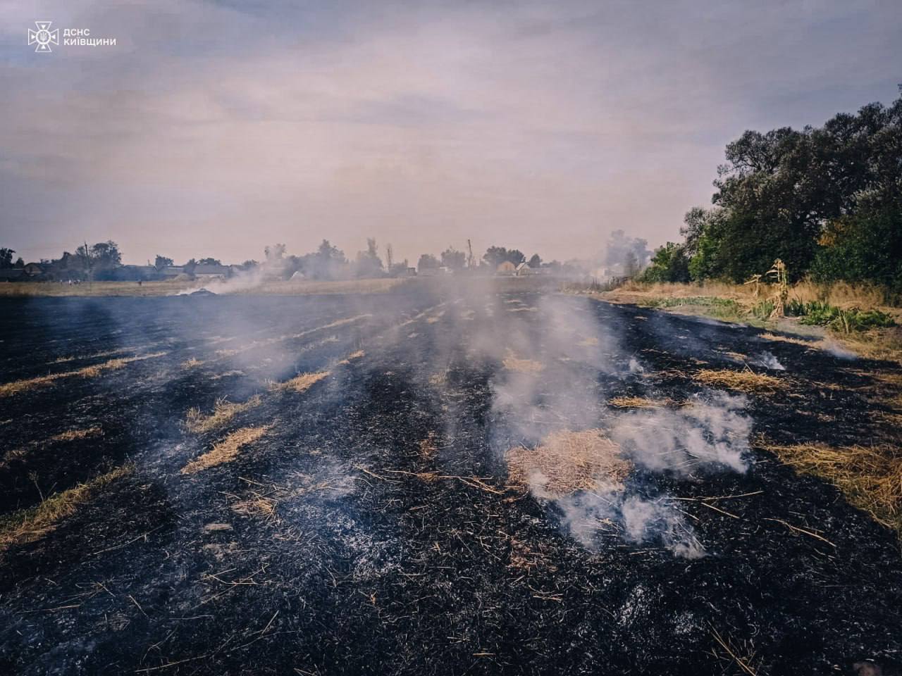 На Київщині під час випалювання сухостою загинула 82-річна жінка. Подробиці трагедії