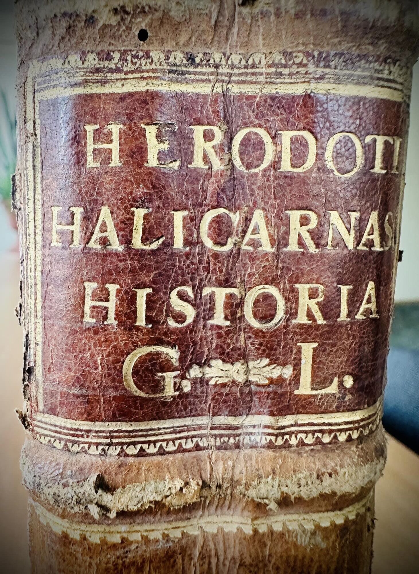 Труд Геродота в издании 1570 года показали в Госархиве Прикарпатья. Фото