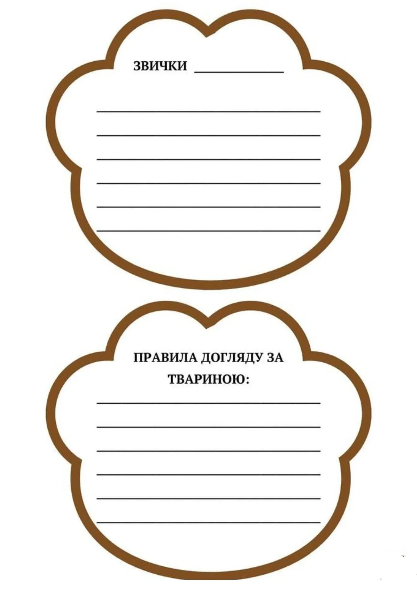 Діти будуть у захваті: що таке лапки-антистрес та як їх з користю можна використати в початковій школі