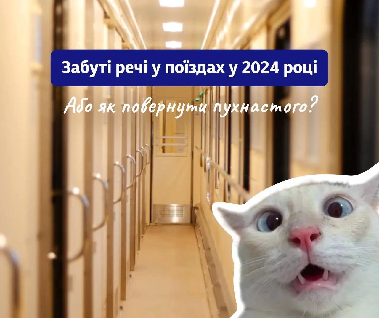 Ведро с яйцами, лук для стрельбы и не только: в УЗ рассказали, что забывали пассажиры в поездах