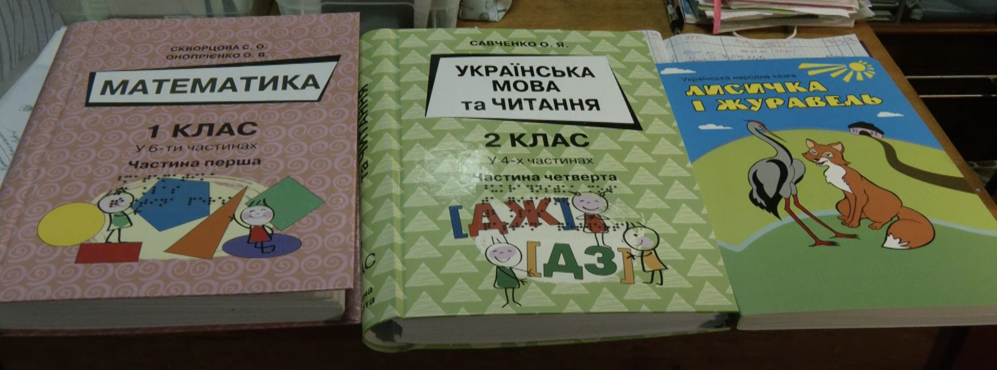 Как незрячая учительница учит 14-летнюю незрячую школьницу в Кропивницком. Трогательное видео