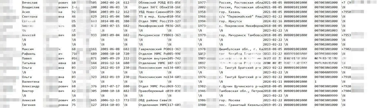 Хакери успішно зламали Росреєстр: викачали величезну кількість особистих даних росіян
