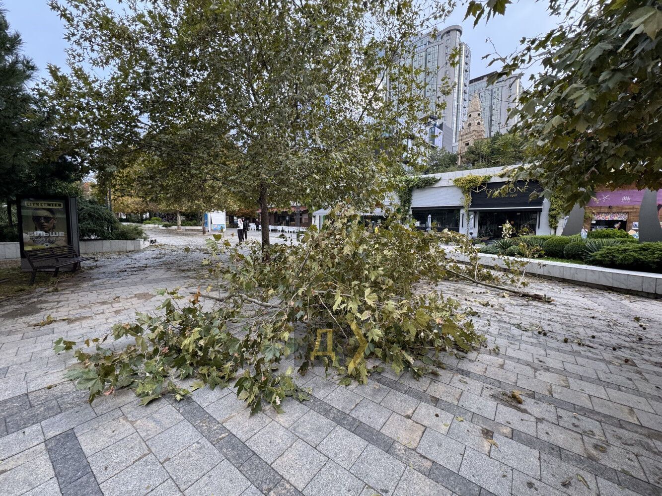 Зеленський доручив провести перевірку через трагедію в Одесі, де внаслідок негоди загинули 9 людей: в області оголошено день жалоби
