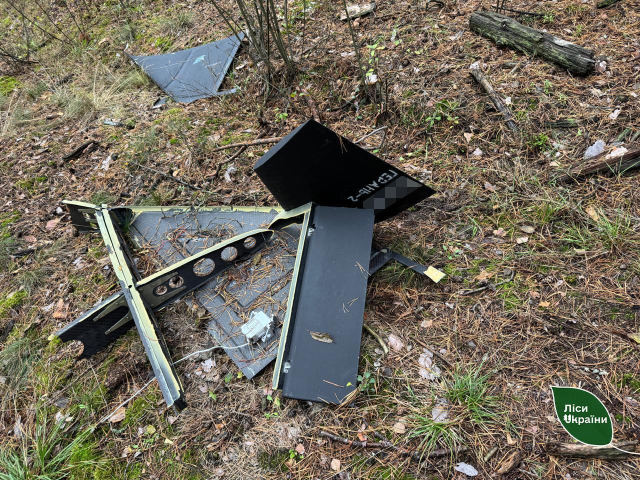 У лісі на Житомирщині після нічної атаки знайшли уламки "Шахеда". Фото