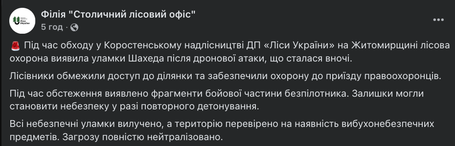 У лісі на Житомирщині після нічної атаки знайшли уламки "Шахеда". Фото