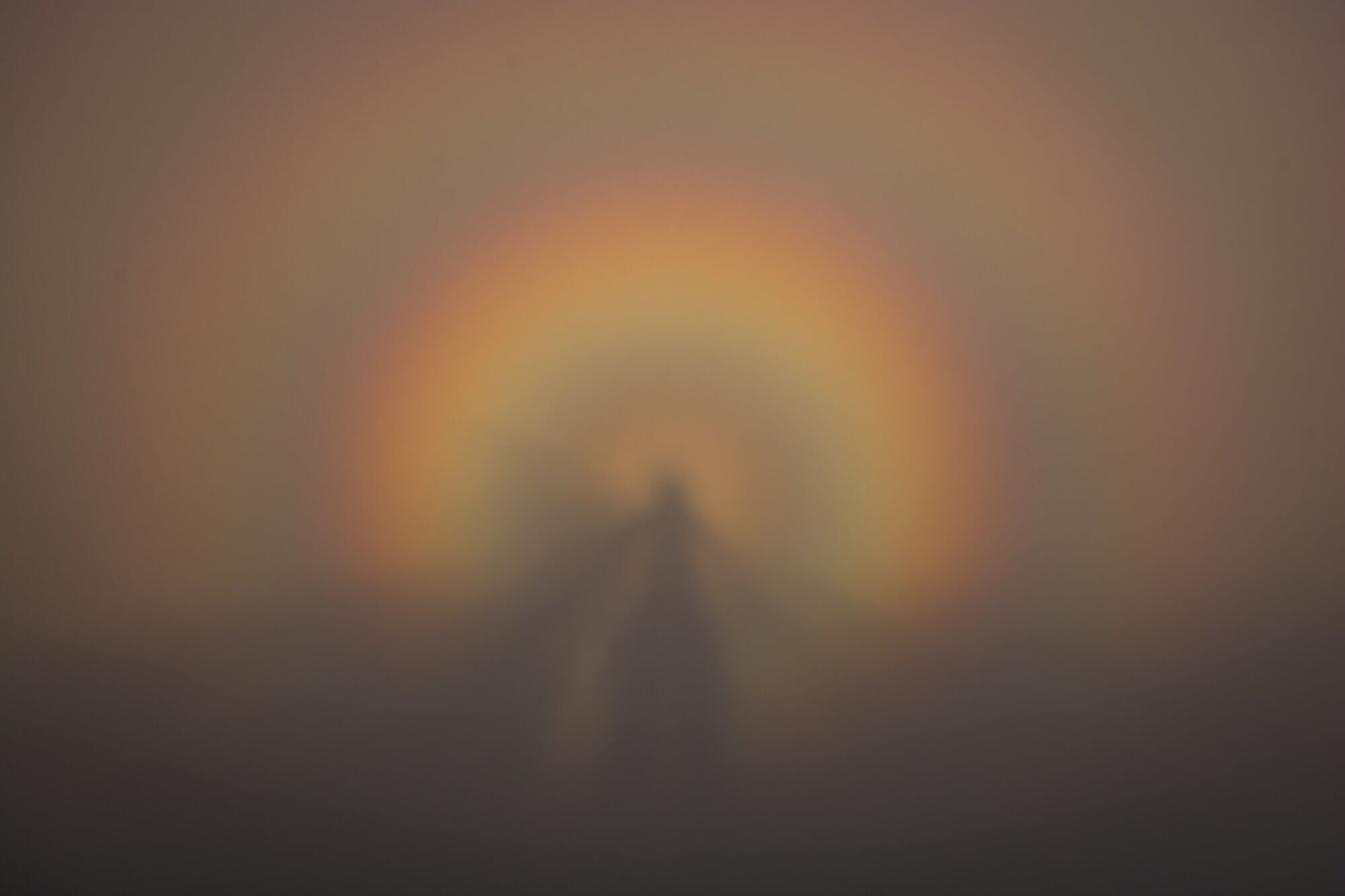 "Появлялся снова и снова": в Карпатах заметили "брокенского призрака", фото взбудоражили сеть