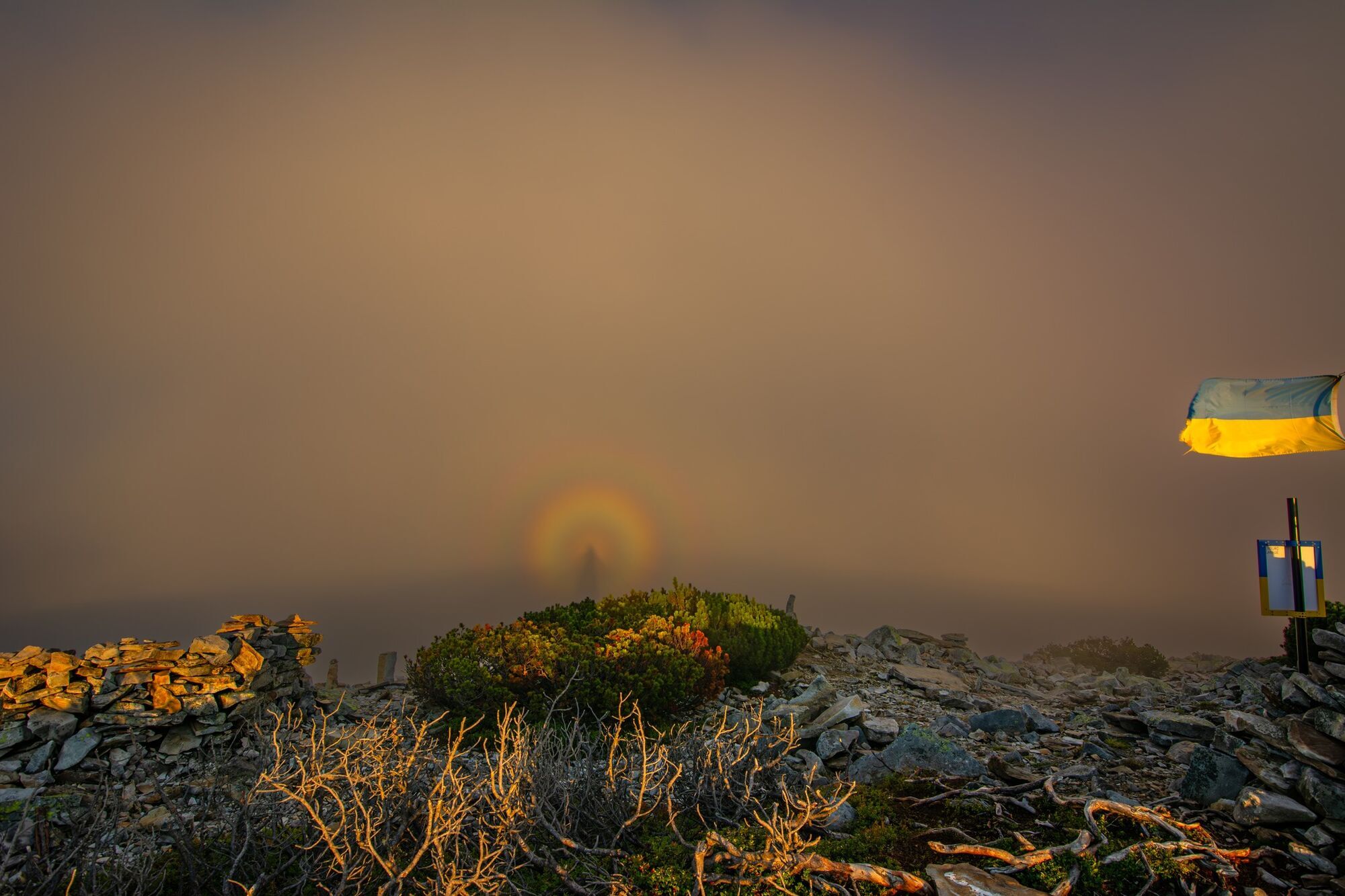 "Появлялся снова и снова": в Карпатах заметили "брокенского призрака", фото взбудоражили сеть