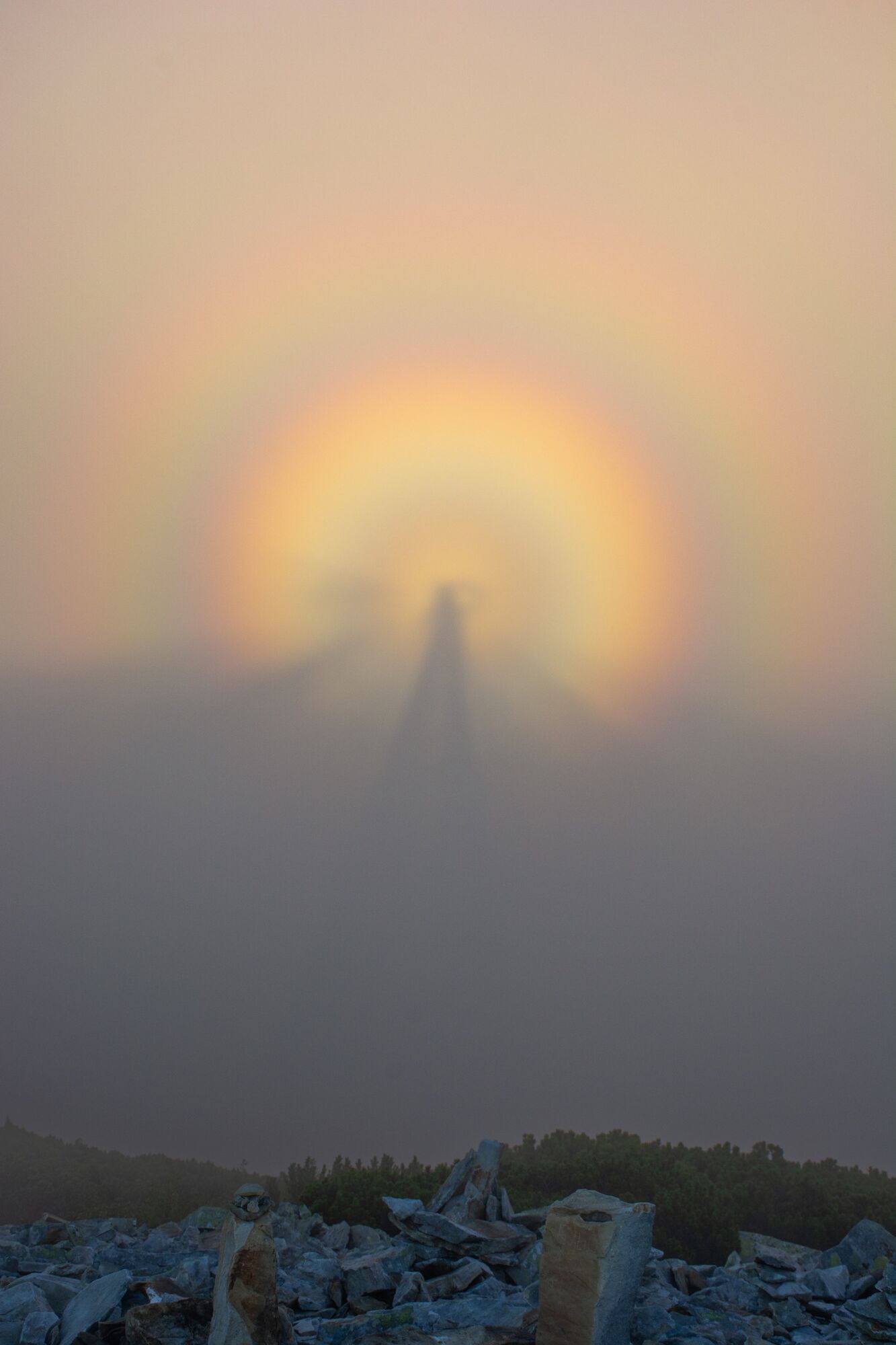 "Появлялся снова и снова": в Карпатах заметили "брокенского призрака", фото взбудоражили сеть