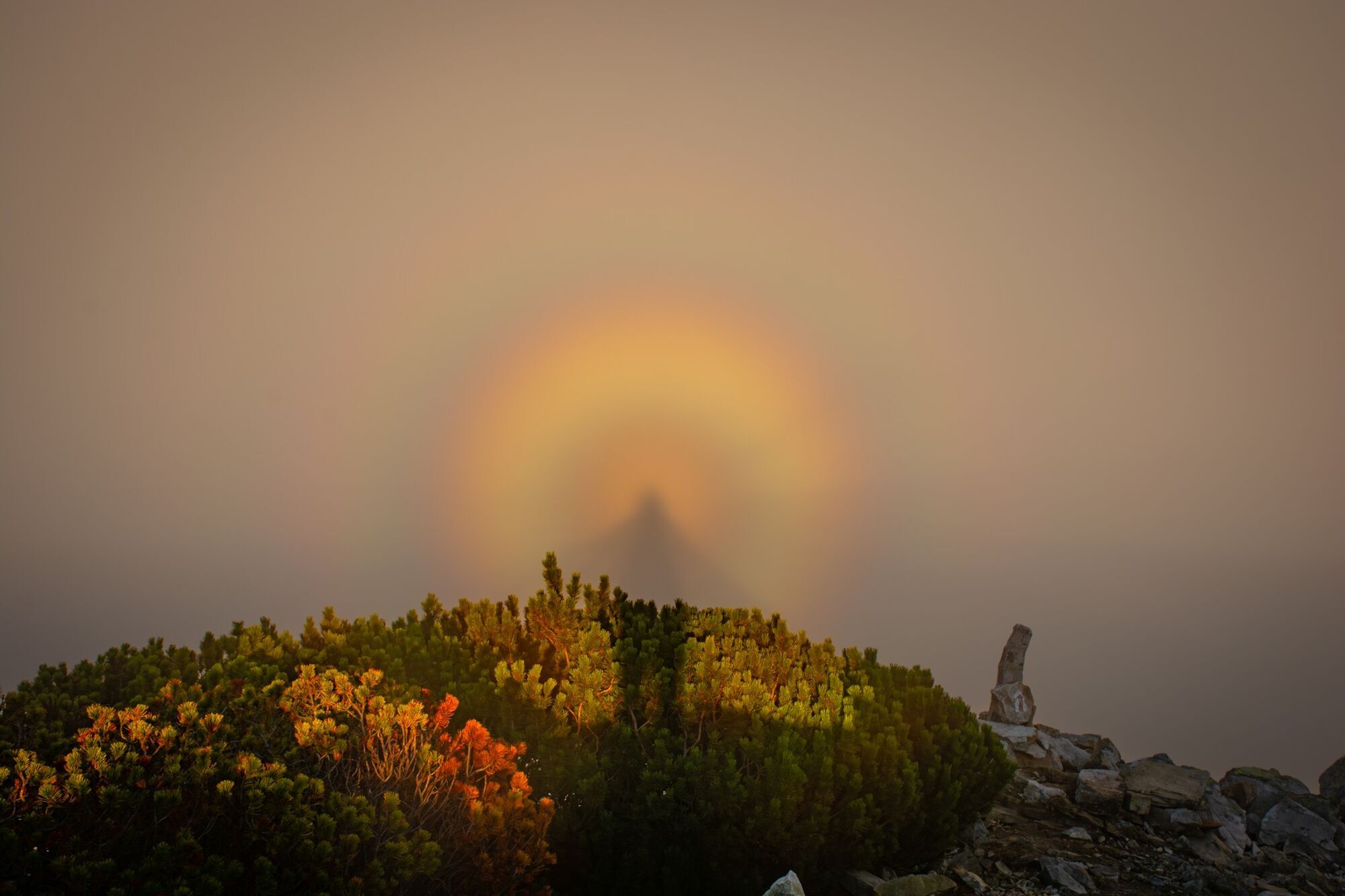 "Появлялся снова и снова": в Карпатах заметили "брокенского призрака", фото взбудоражили сеть