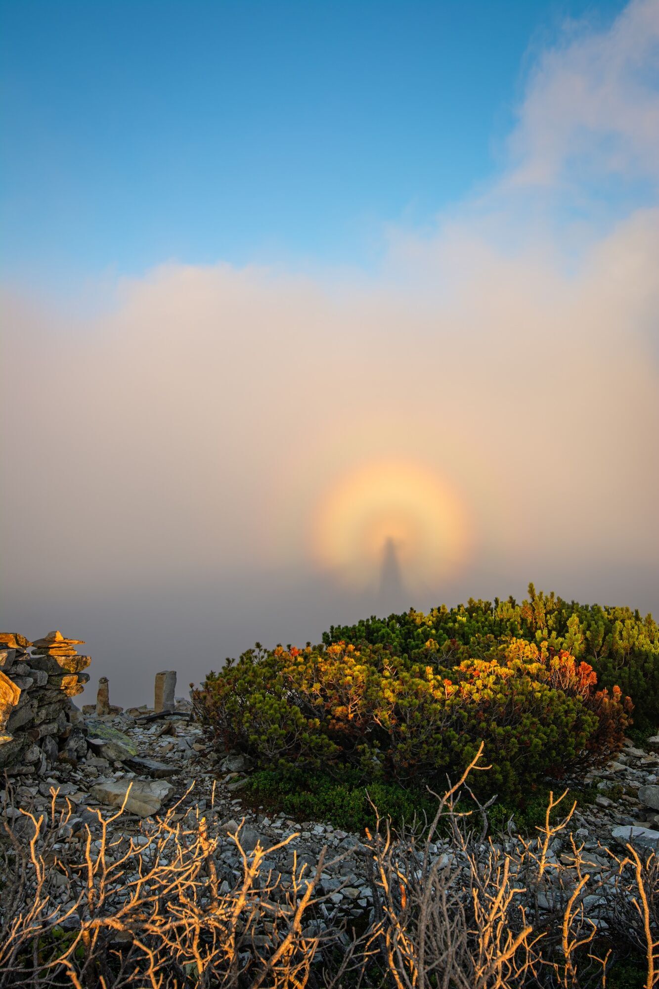 "Появлялся снова и снова": в Карпатах заметили "брокенского призрака", фото взбудоражили сеть