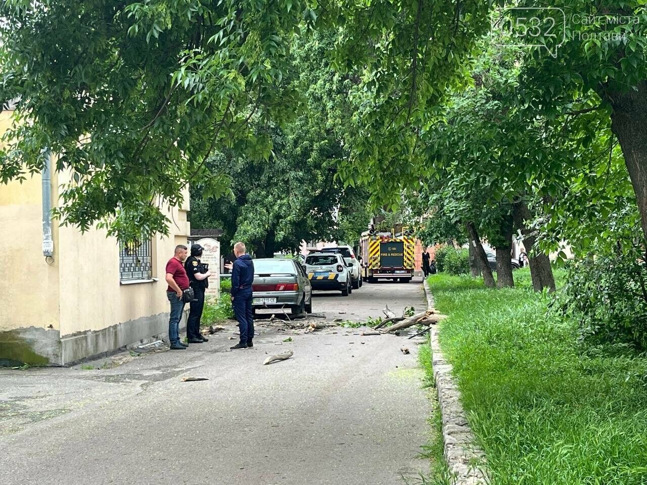 "Не розмовляє, не їсть, дихає через трахеостому": з'явились нові дані про стан 9-річного хлопчика, на якого впало дерево в Полтаві