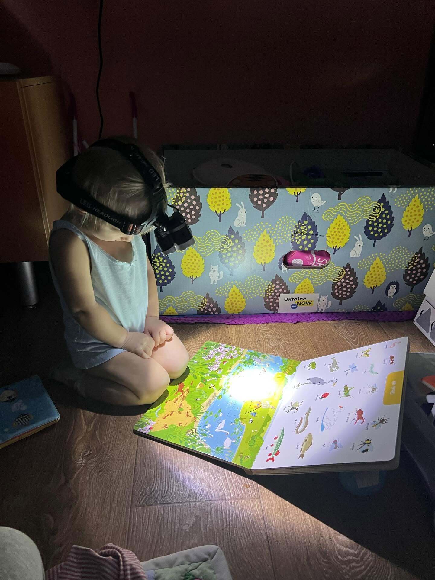 Навчання триває попри все: українська дитина у темряві з ліхтариком читає книжку через російський теракт. Зворушливе фото