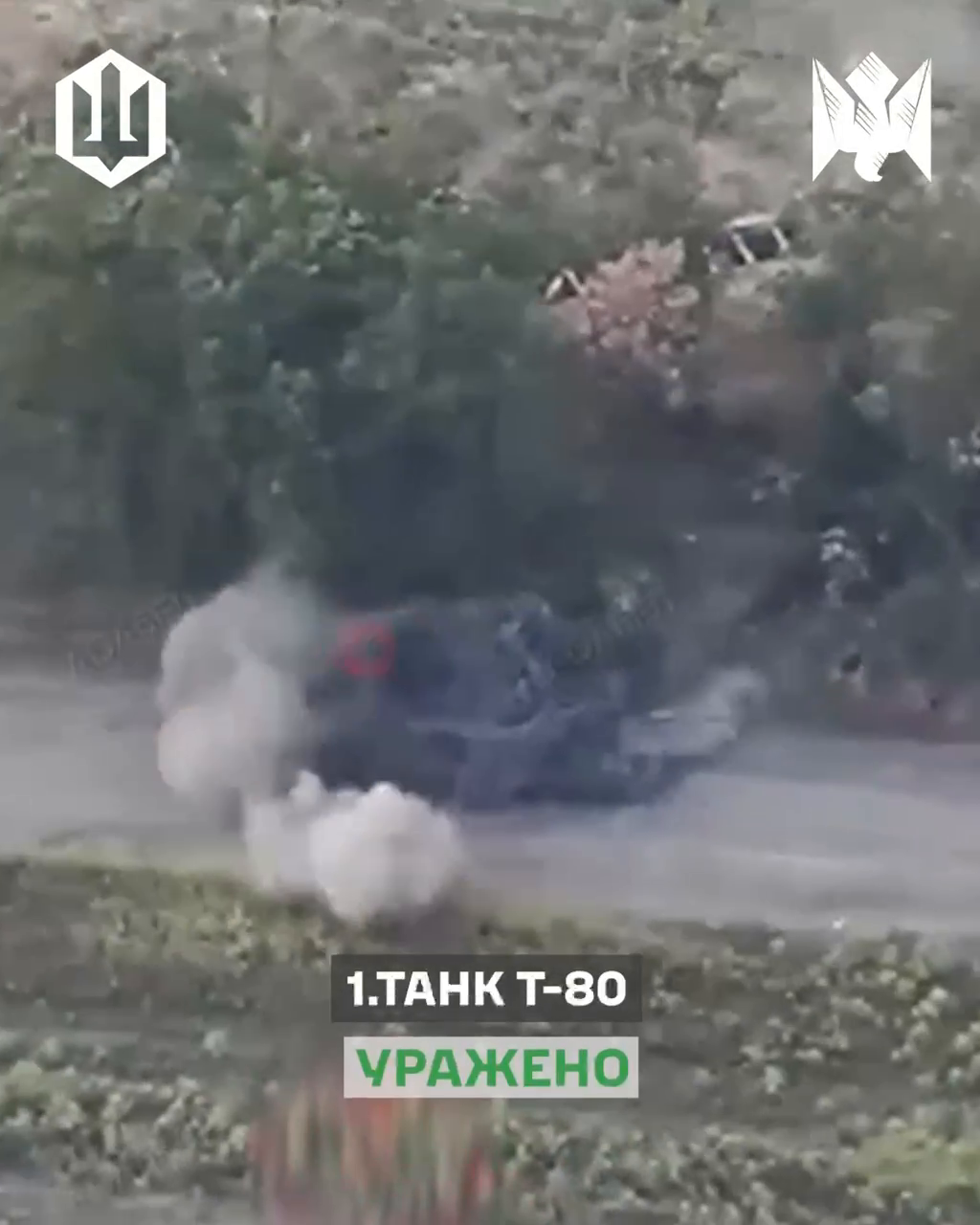 На Донецком направлении Силы беспилотных систем поразили пять танков и "Град". Видео