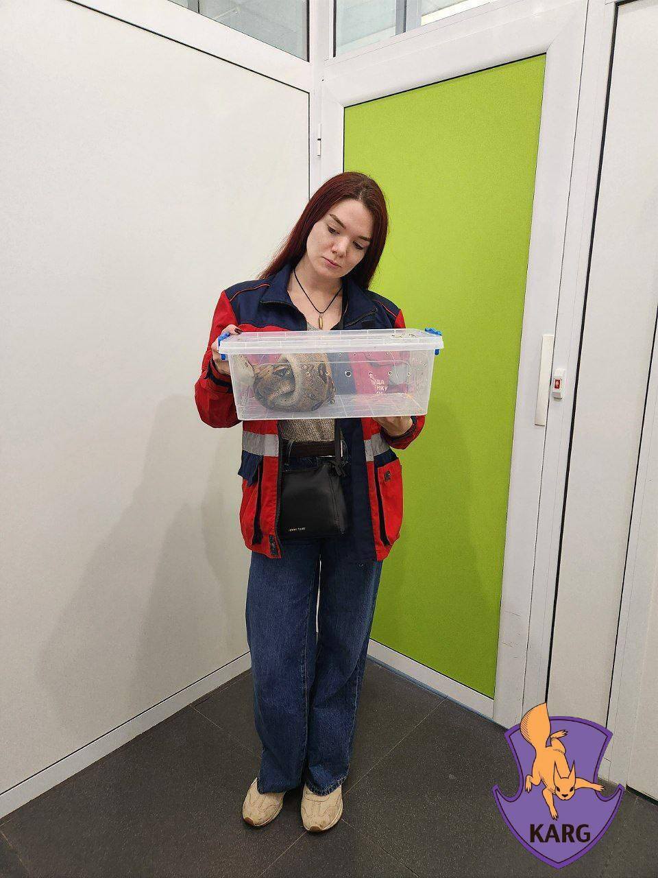 Під Києвом поліцейські у лісі знайшли живого екзотичного плазуна. Подробиці та фото