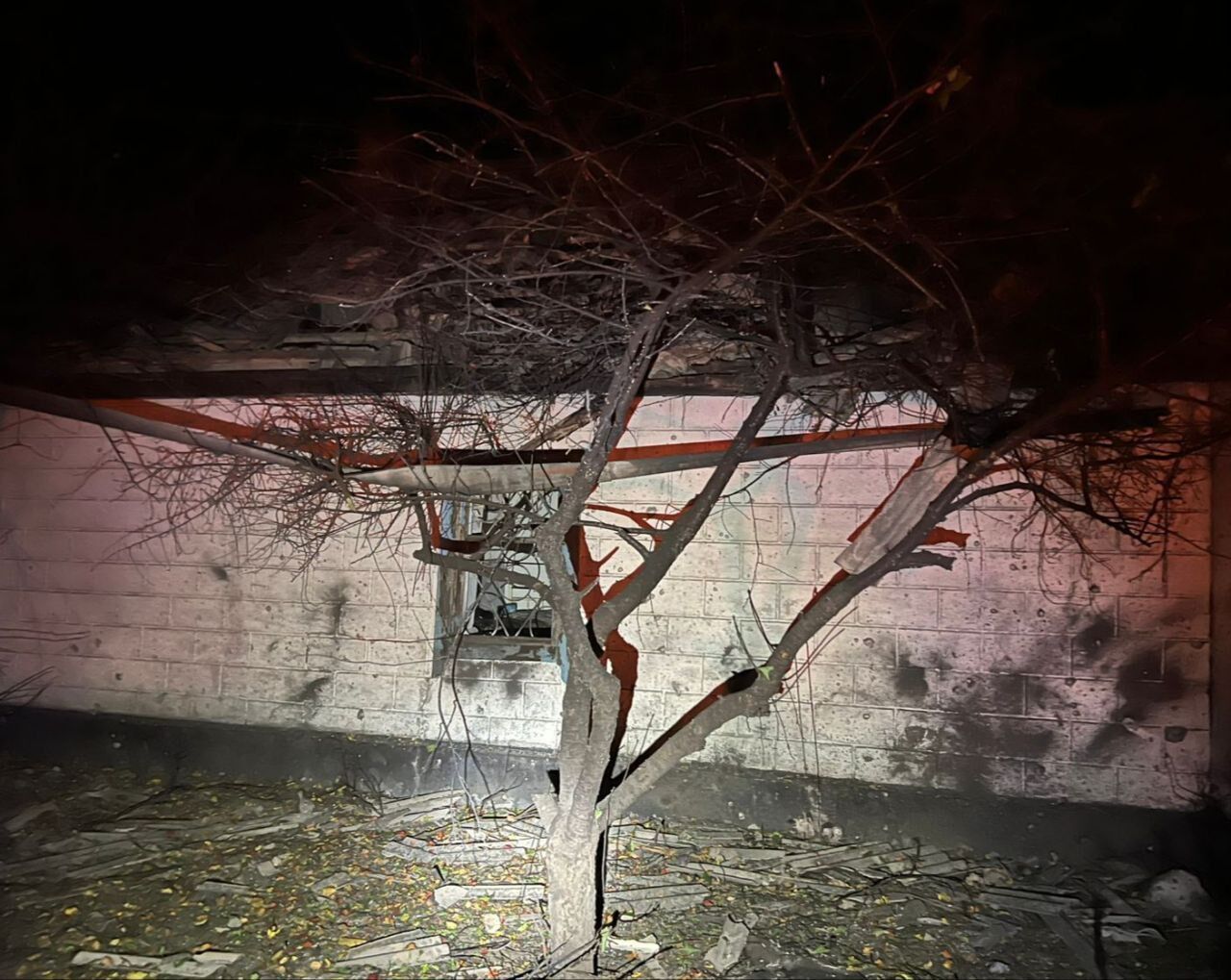 Оккупанты ночью запустили 82 дрона, около полусотни из них – "Шахеды": защитники неба сбили большинство целей