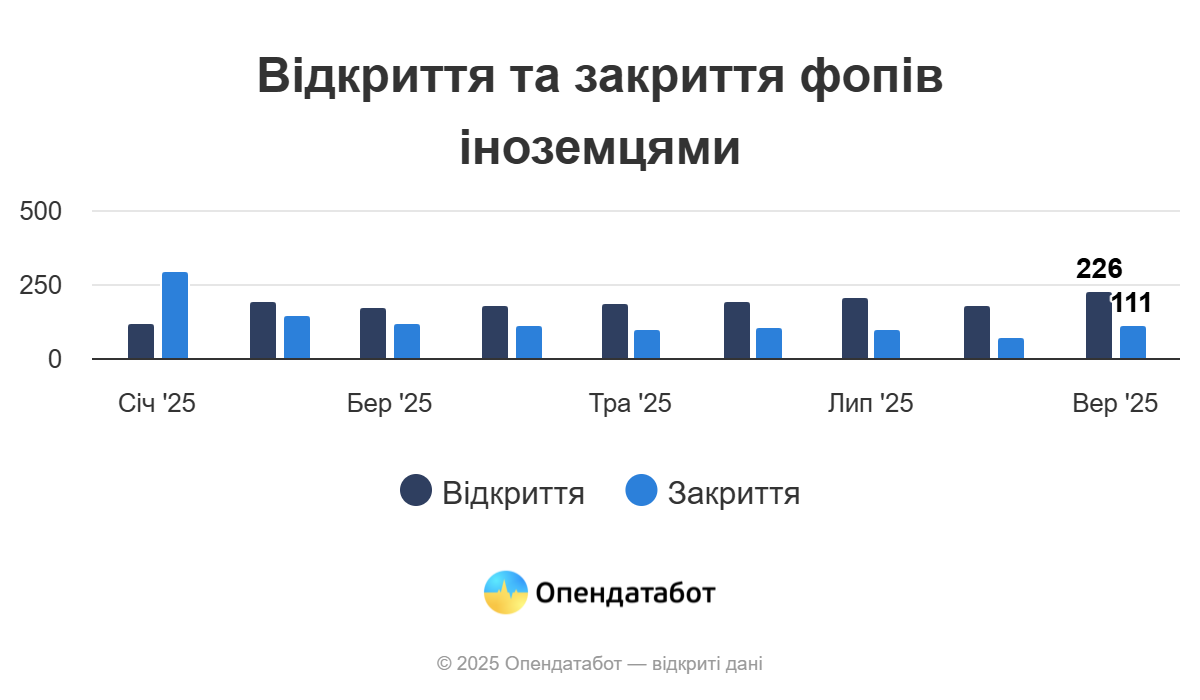 Сколько бизнесов открыли иностранцы