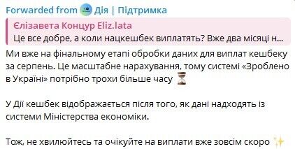 Почему украинцы не получили "Национальный кэшбэк"