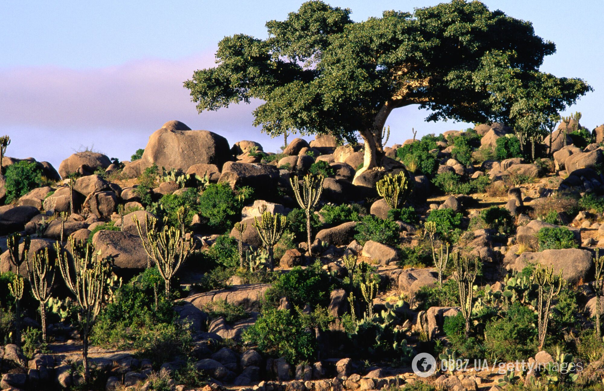 Порівнюють із подорожжю у часі: країна в Африці майже не змінилася з 50-х років