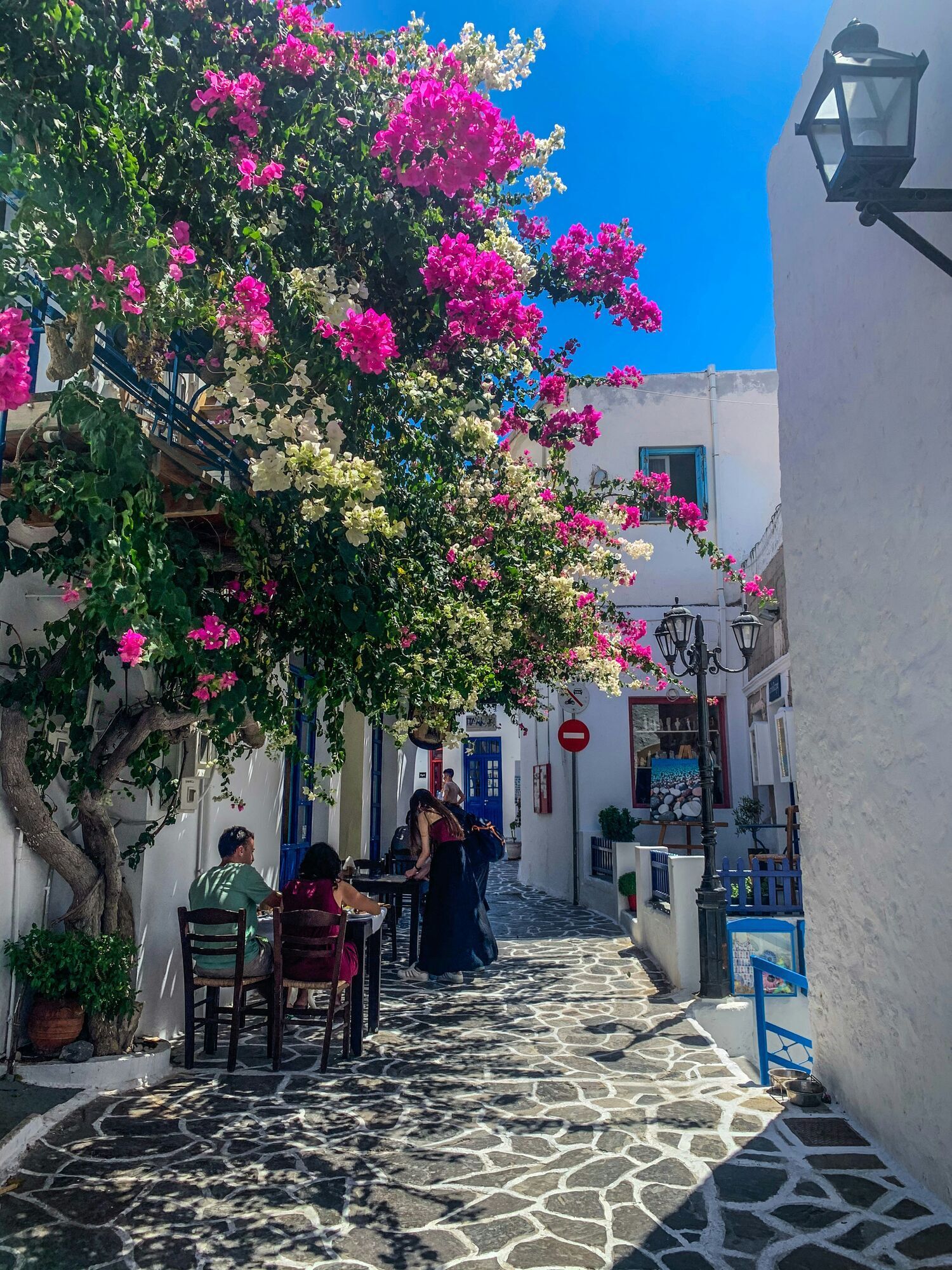 Где расположены лучшие виноградники в Европе: топ удивительных мест