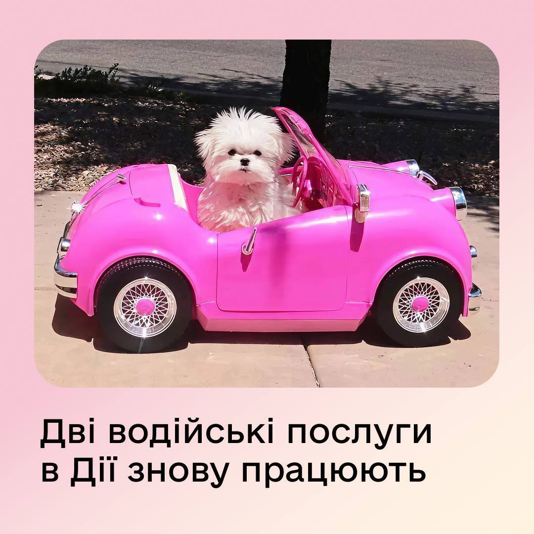 Объявление о восстановлении водительстких услуг