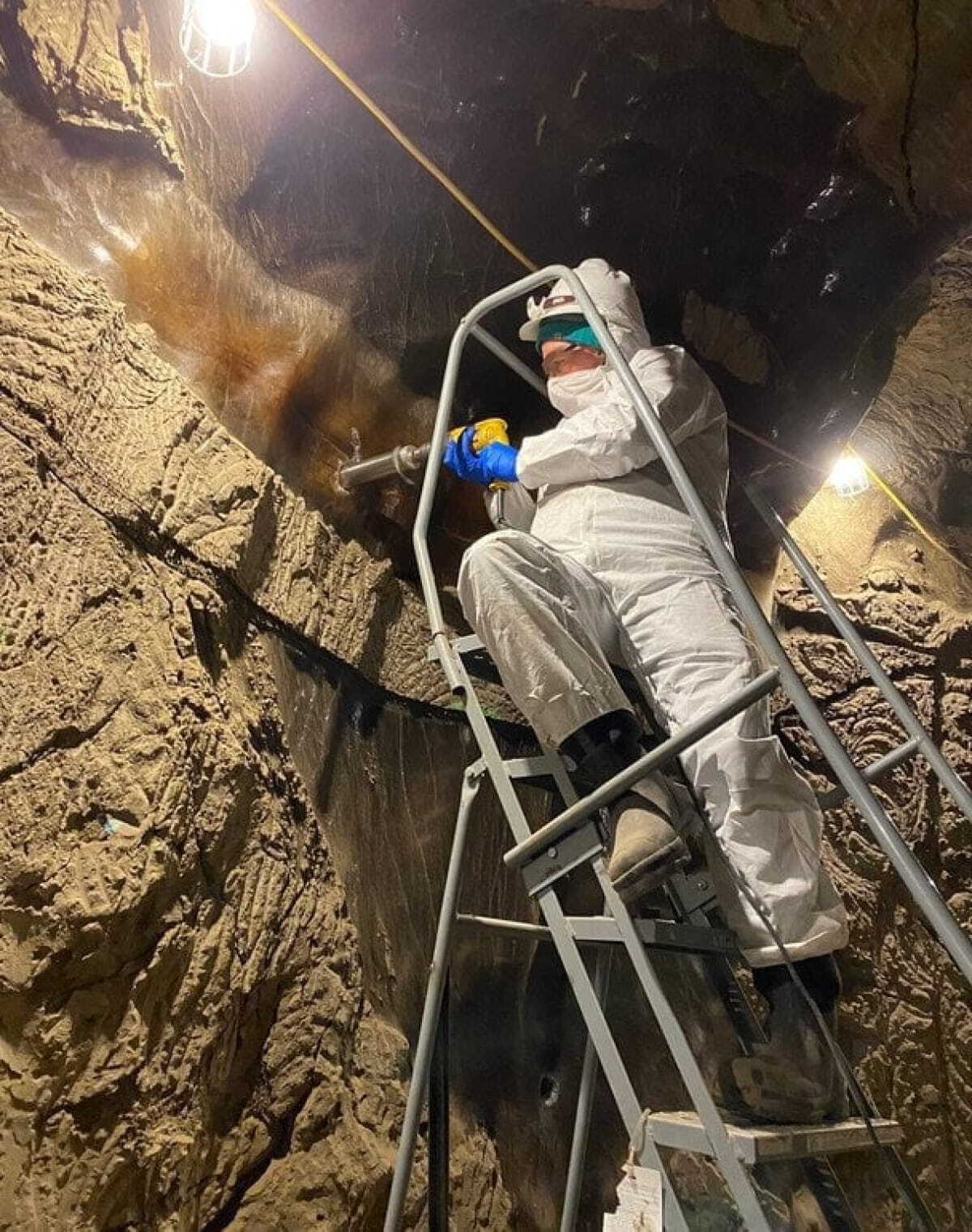 Ученые "разбудили" жизнь, которая пролежала замерзшей на Аляске около 40 тысяч лет. Фото