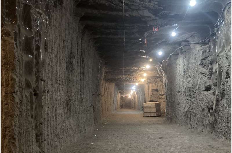 Ученые "разбудили" жизнь, которая пролежала замерзшей на Аляске около 40 тысяч лет. Фото