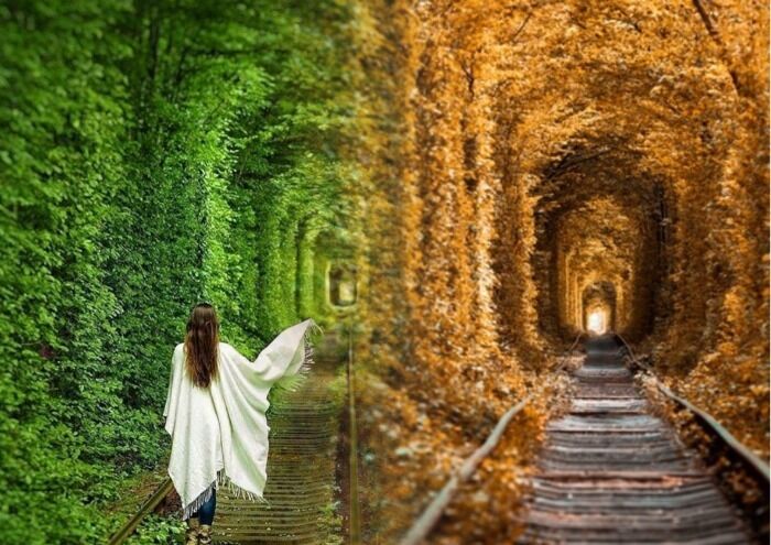 Как добраться до Тоннеля Любви в Клевань