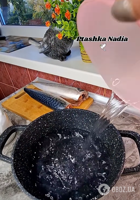 Самая вкусная малосольная скумбрия к картофелю: как приготовить в домашних условиях