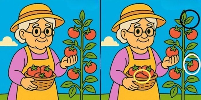 Відповідь на головоломку.