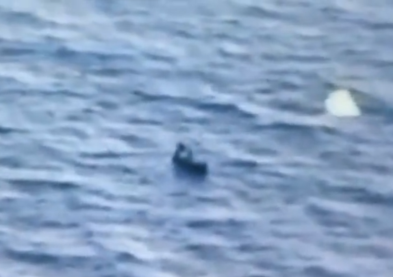 ЗСУ вперше уразили російський морський дрон: це міг бути новий тип. Відео