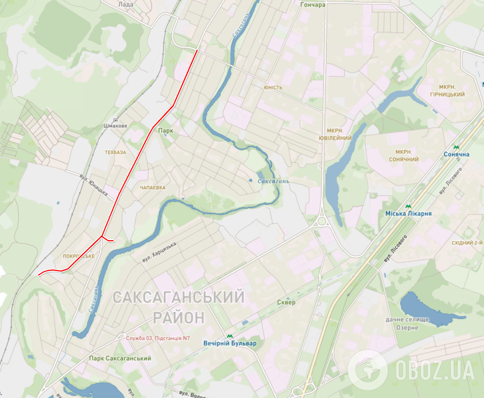 У Кривому Розі водій збив двох дітей на переході: 13-річний хлопчик помер у швидкій. Фото