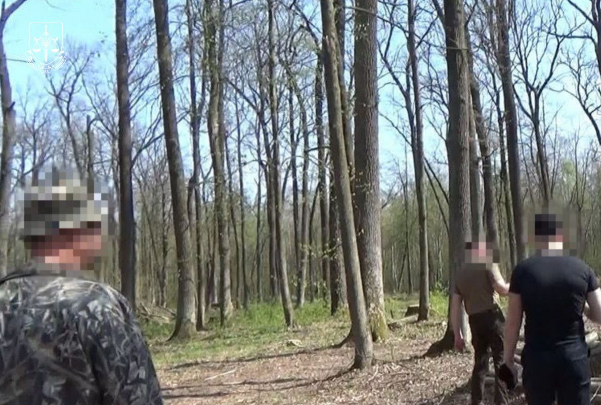 Навмисно занижували товщину й висоту дерев на Житомирщині: судитимуть трьох працівників ДП "Ліси України"