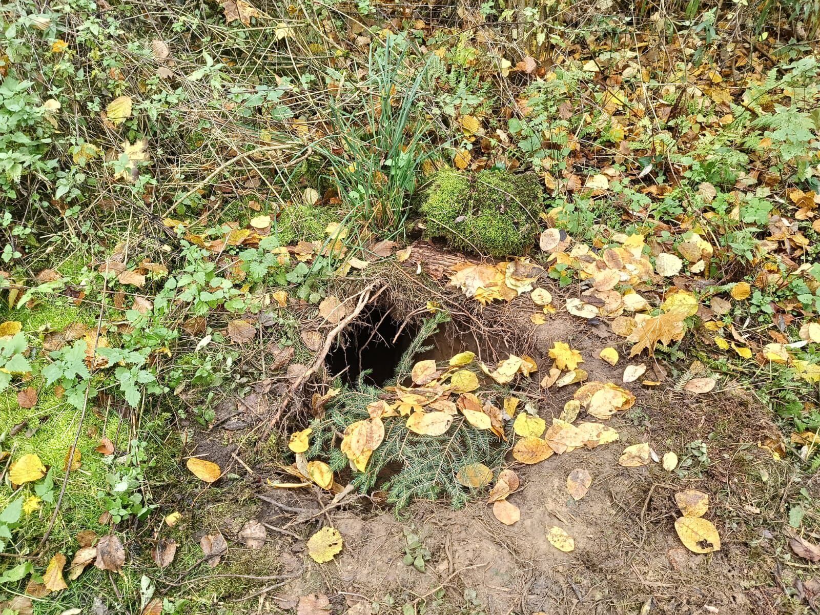 Польські прикордонники знайшли невідомий тунель біля кордону з Білоруссю. Фото і відео