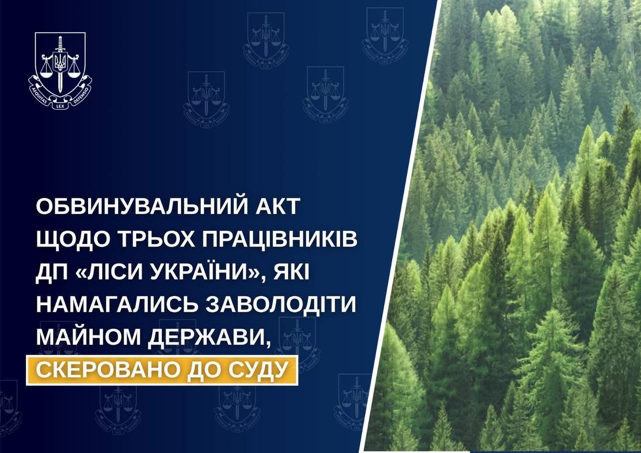 Навмисно занижували товщину й висоту дерев на Житомирщині: судитимуть трьох працівників ДП "Ліси України"