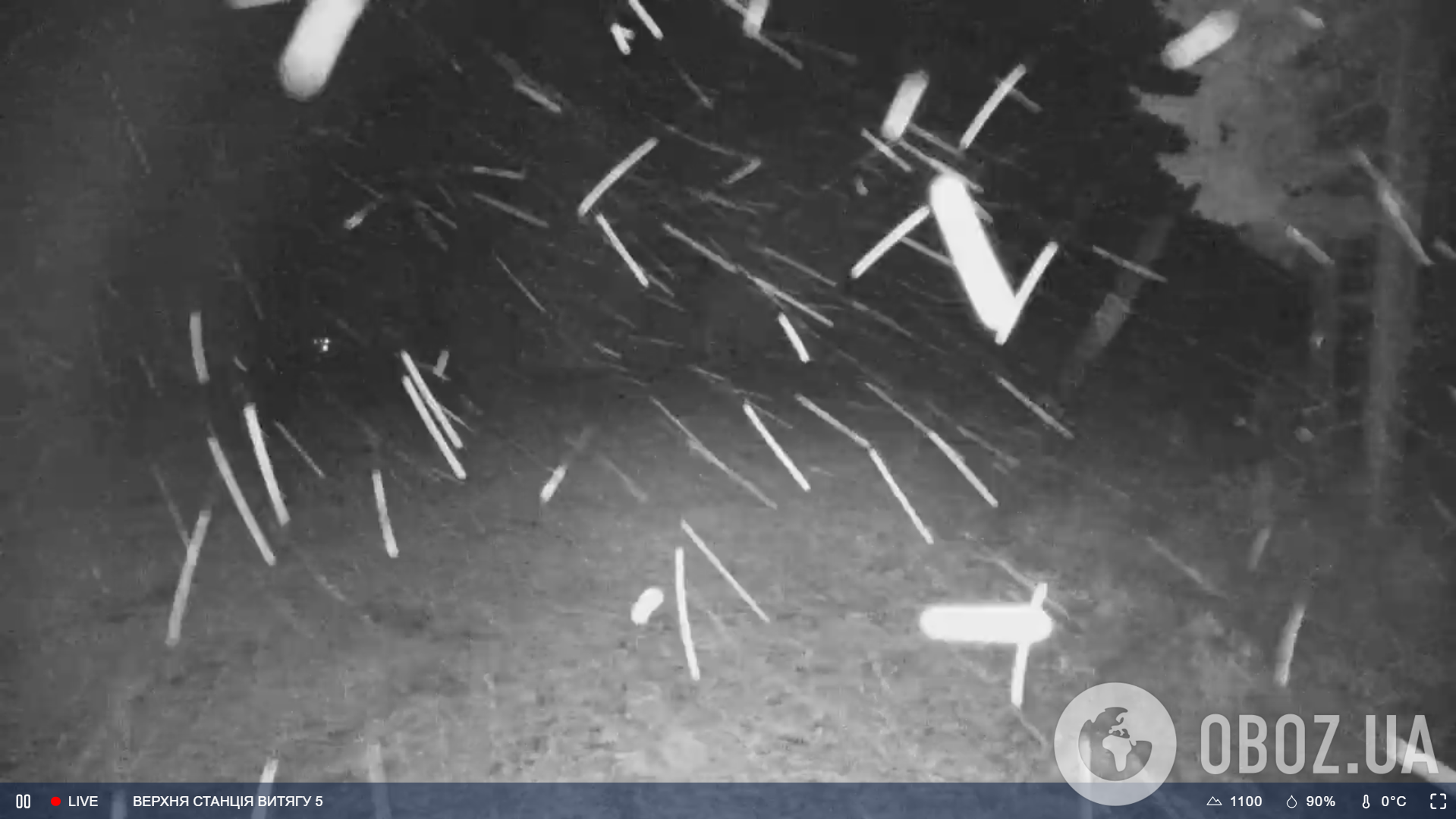 Буковель в середине октября засыпало снегом. Фото, видео