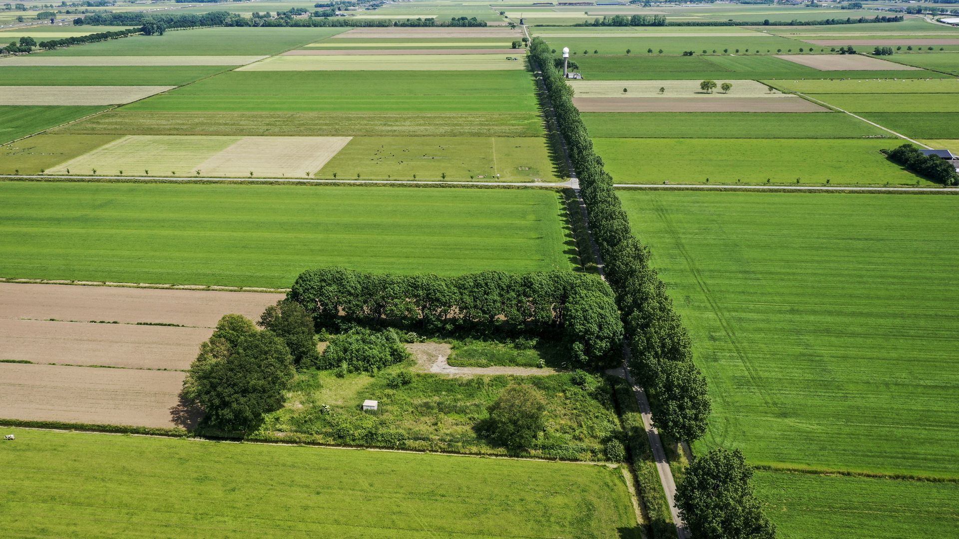 В Нидерландах построят радиолокационную станцию для обнаружения беспилотников