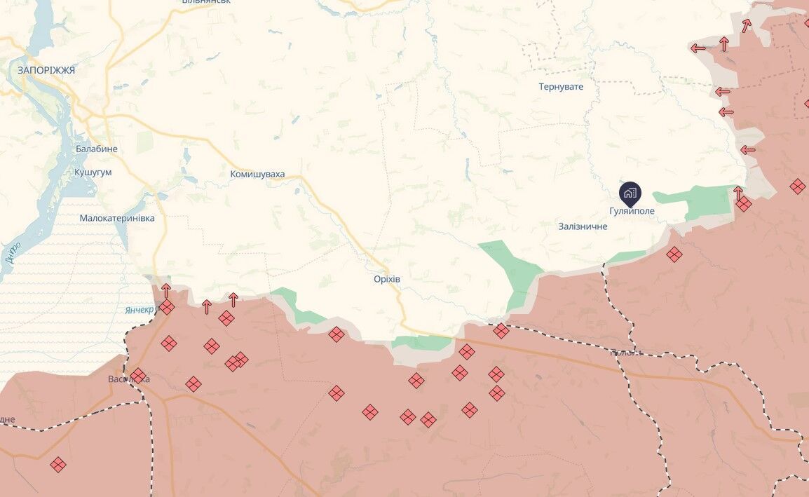 Оккупанты пытались открыть новое направление для штурмов возле Степного на Запорожье: Волошин рассказал о ситуации