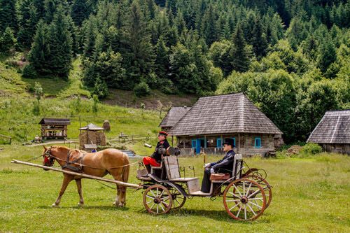 Відпочинок у Карпатах восени