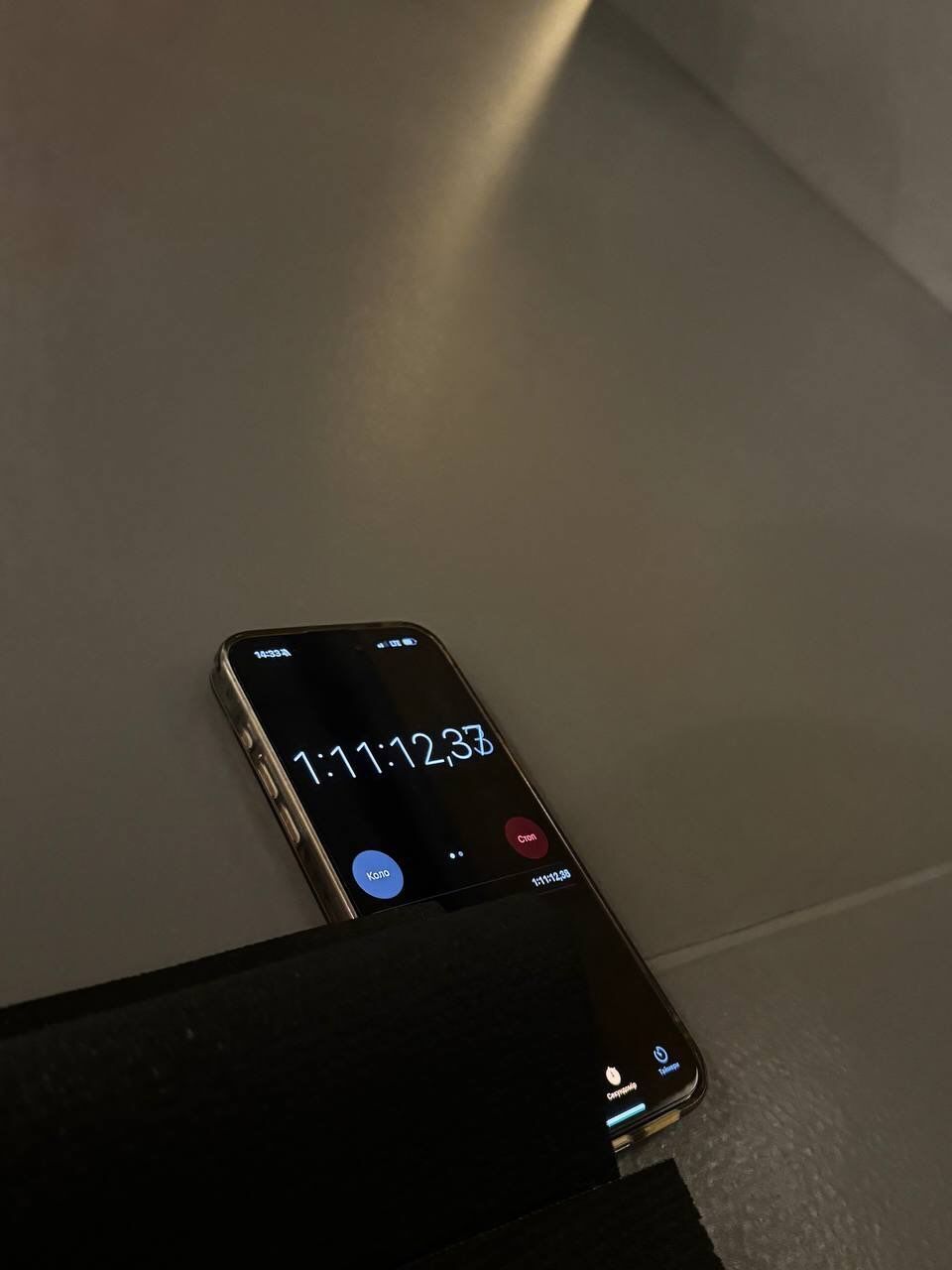 Тина Кароль простояла в планке 71 минуту и установила рекорд. Фото и видео