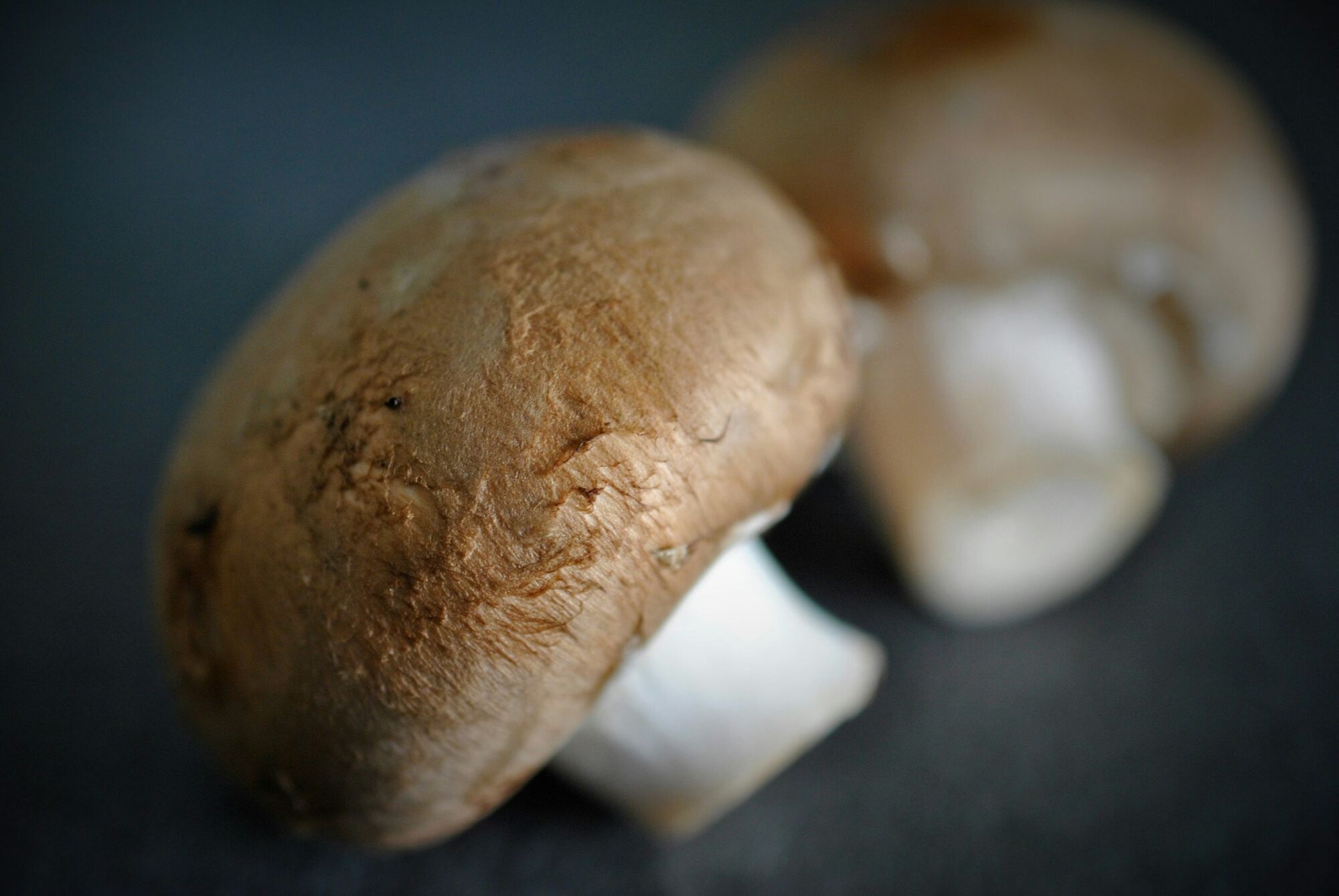 Как выращивать дома шампиньоны: названо лучшее место