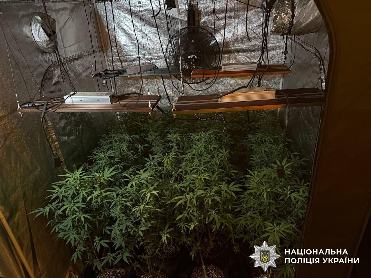 Изъяли "товара" на 27 млн грн: полицейские ликвидировали канал поставки кокаина из Испании в Киев и Одессу. Фото и видео