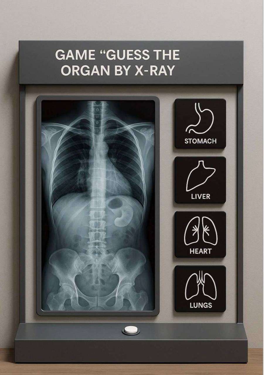 "Тело человека": в Украине представят уникальный интерактивный проект, который изменит представление о выставках