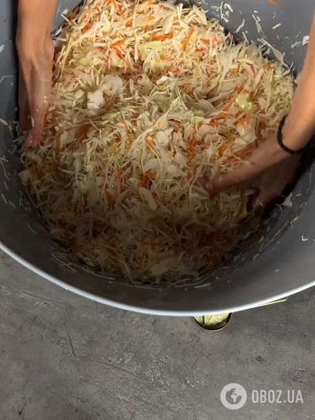 Как вкусно заквасить капусту без уксуса: получится хрустящей и хорошо хранится