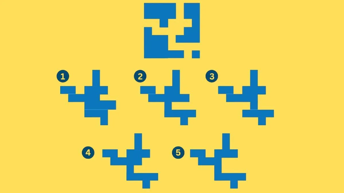 Який варіант правильний? Покажіть свою кмітливість у головоломці