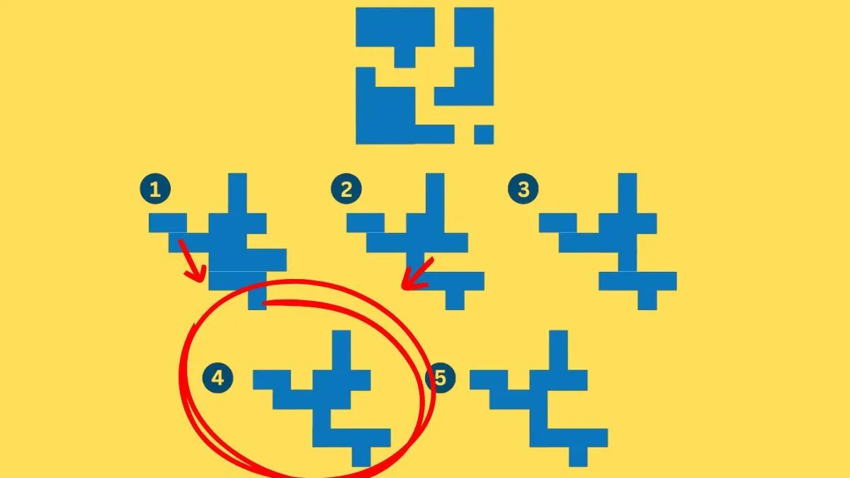 Який варіант правильний? Покажіть свою кмітливість у головоломці