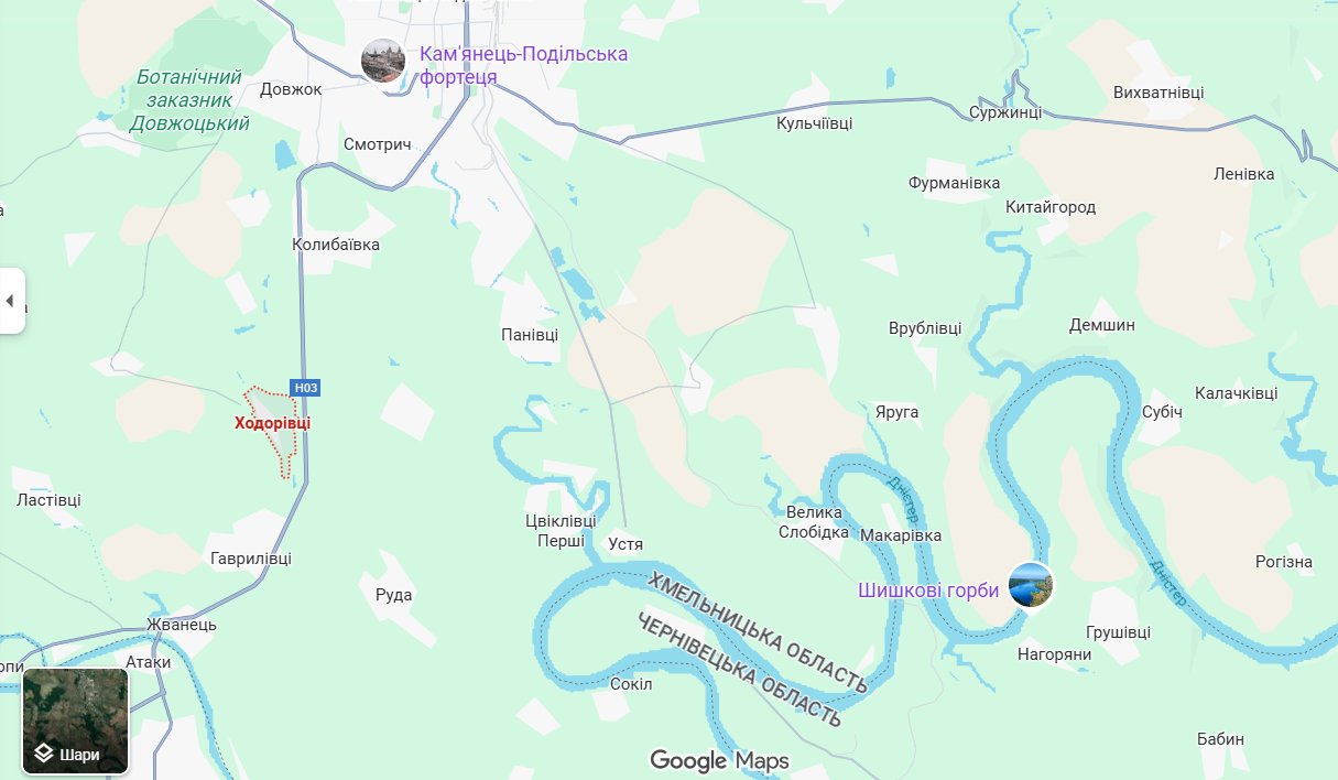 В Хмельницкой области авто слетело в кювет из-за лося, который внезапно выбежал на дорогу: водитель погиб. Фото