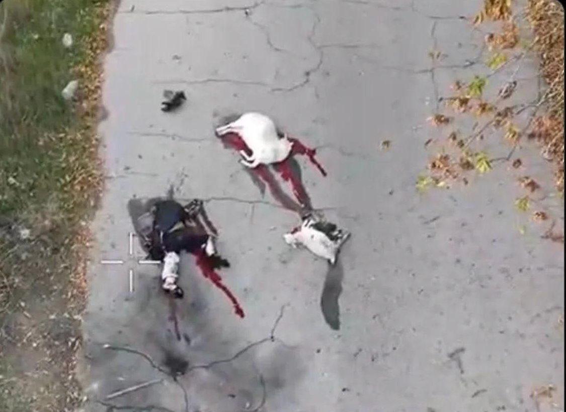 Оккупанты на Херсонщине убили 84-летнюю женщину, которая пасла коз. Видео